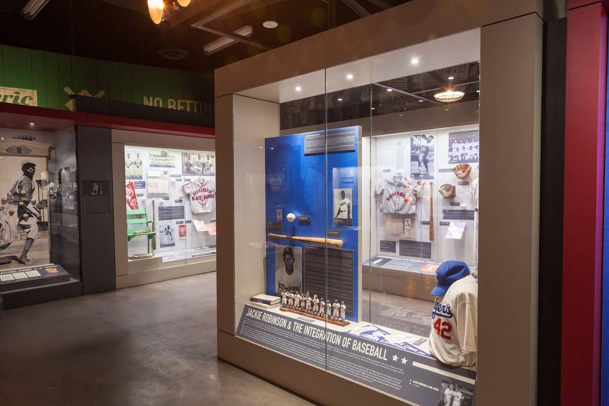 Curated Display Case