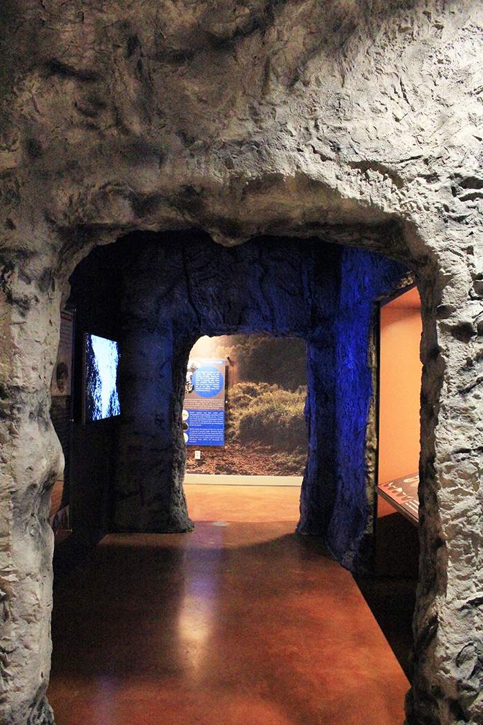 CAVE