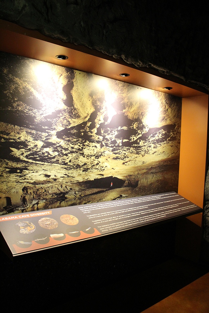 Cave_5