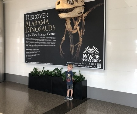 Airport Display